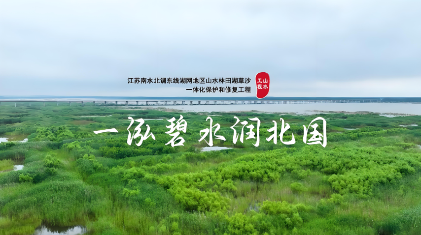 微信图片_20250527163858.png